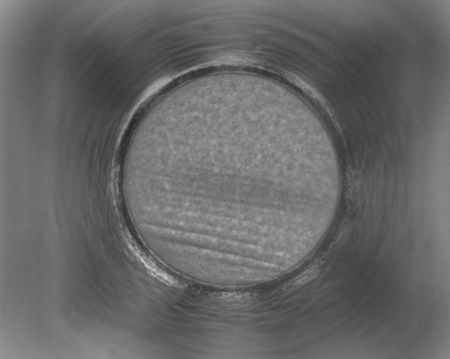 X0000080751029200701051205