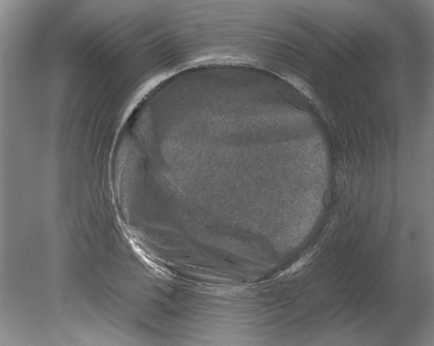 X0000080751030200701051205