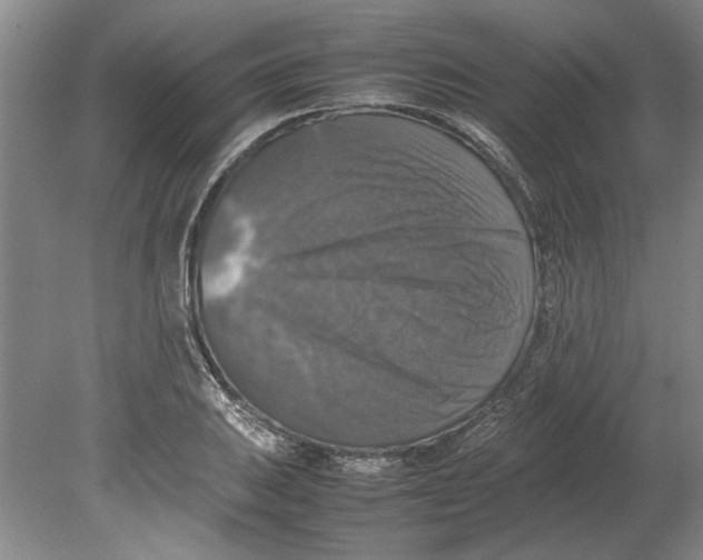 X0000080751031200701051205