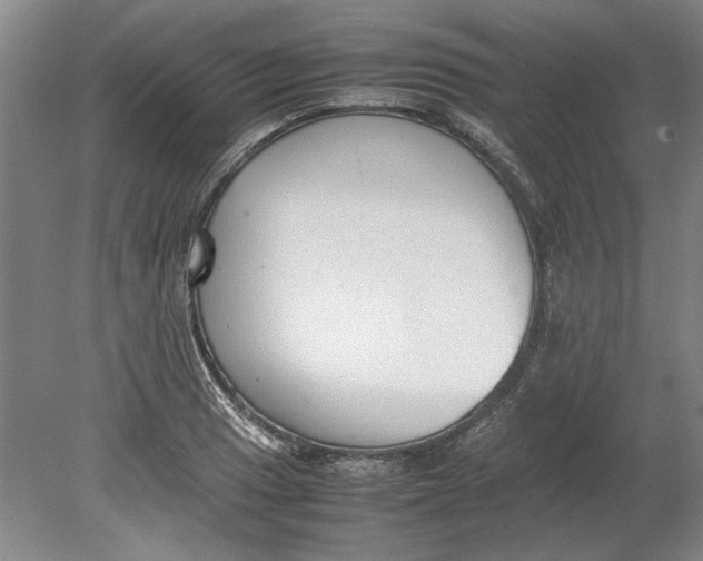 X0000080751033200701051205