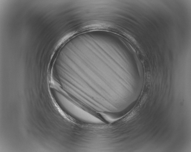 X0000080751034200701051205