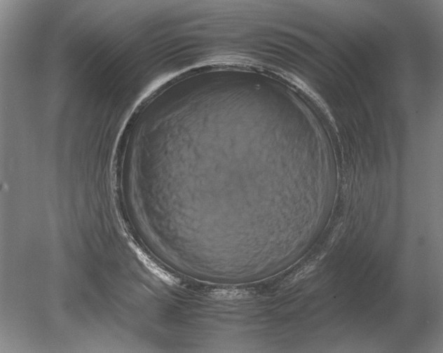 X0000080751037200701051205