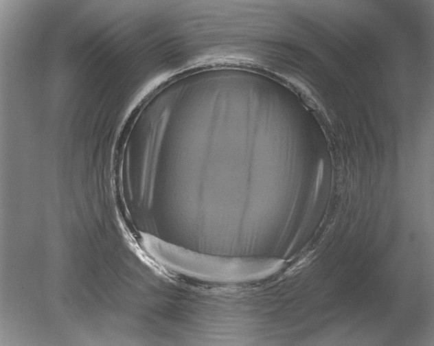 X0000080751038200701051205