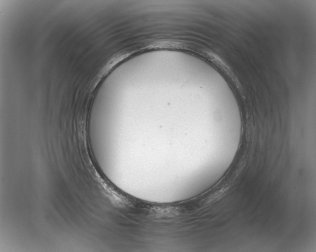 X0000080751041200701051205