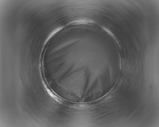 X0000080751042200701051205