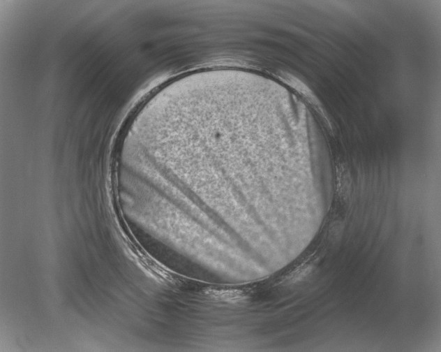 X0000080751043200701051205