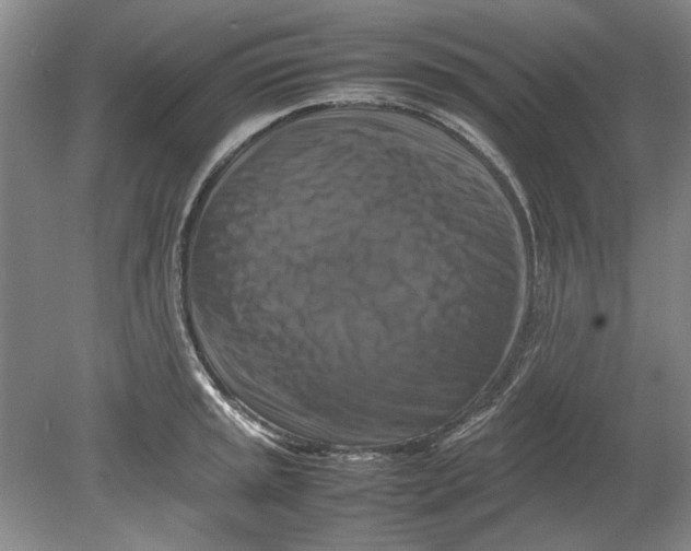 X0000080751045200701051205