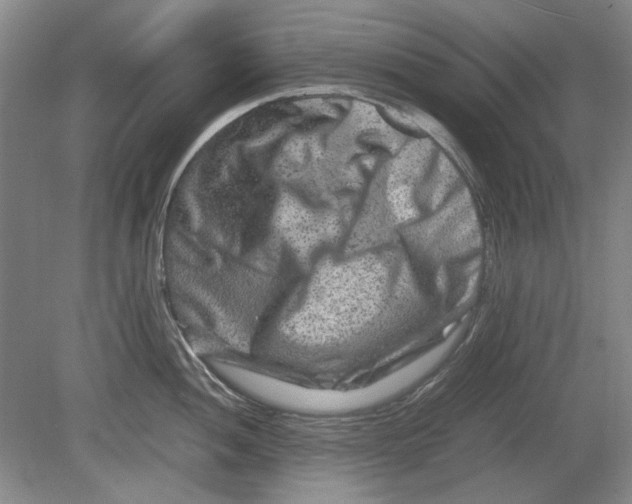 X0000080751052200701051205