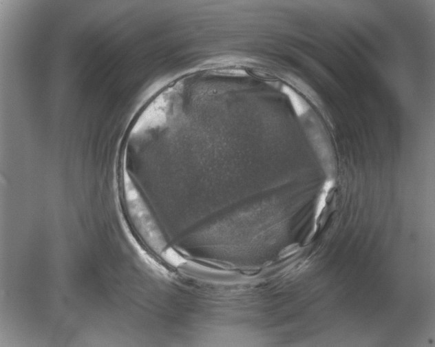 X0000080751055200701051205