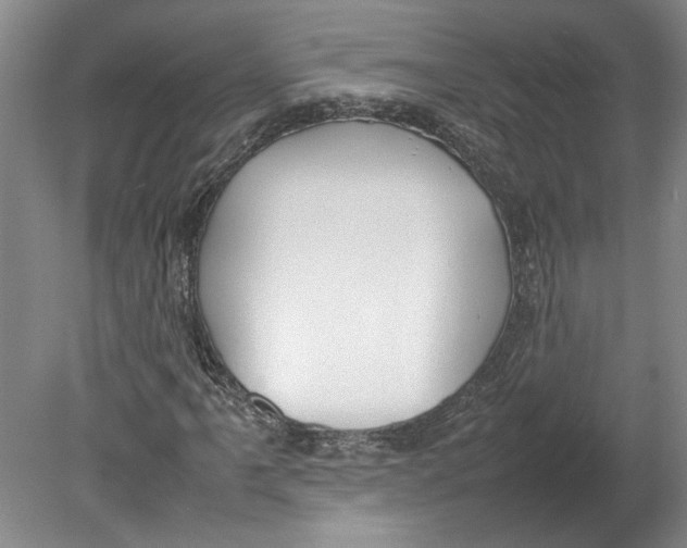X0000080751061200701051204