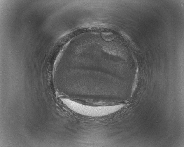 X0000080751063200701051204