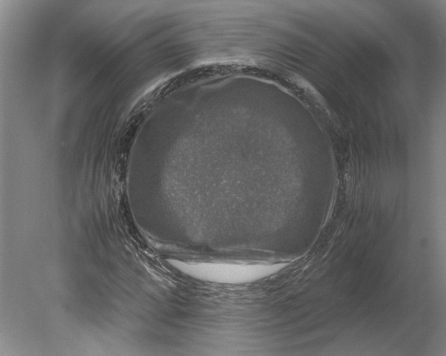 X0000080751064200701051204