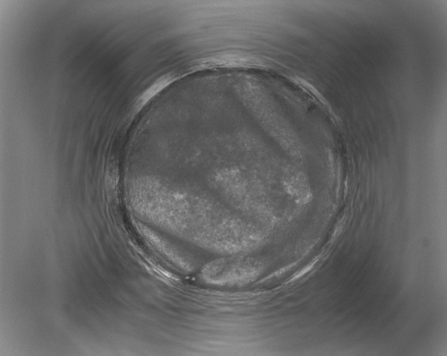 X0000080751065200701051204