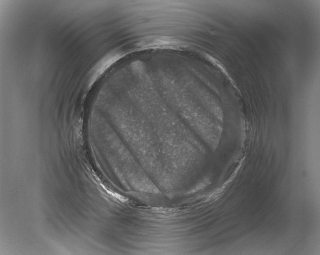 X0000080751066200701051204
