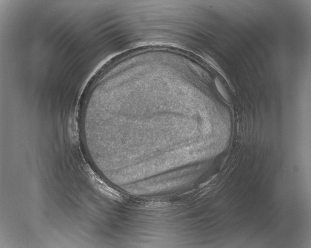 X0000080751068200701051204