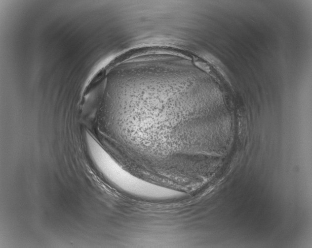 X0000080751069200701051204