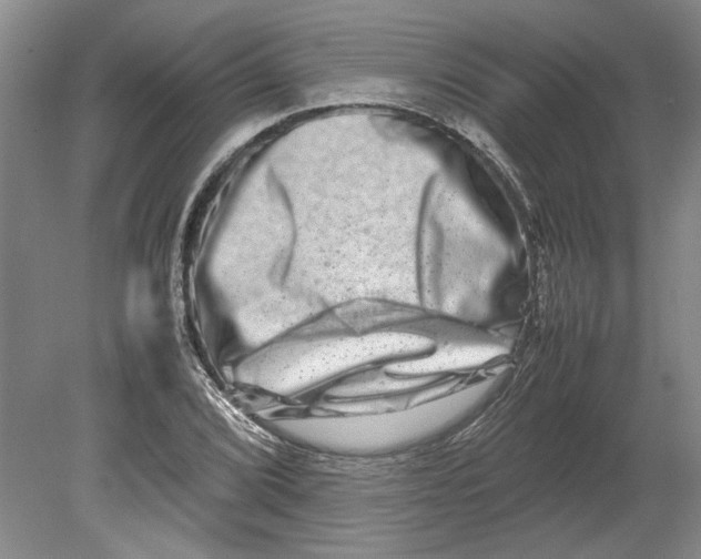 X0000080751072200701051204