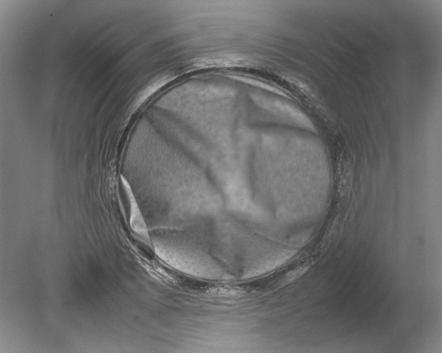 X0000080751073200701051204
