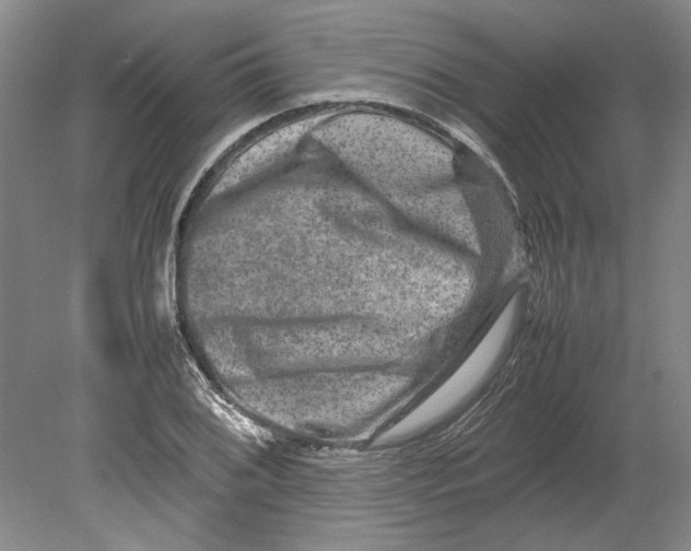 X0000080751076200701051204