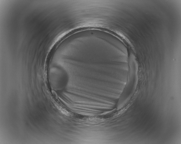 X0000080751077200701051204