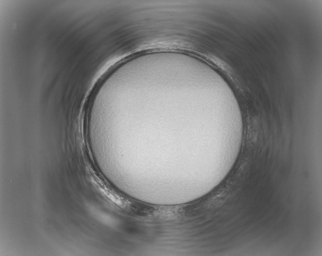 X0000080751078200701051204