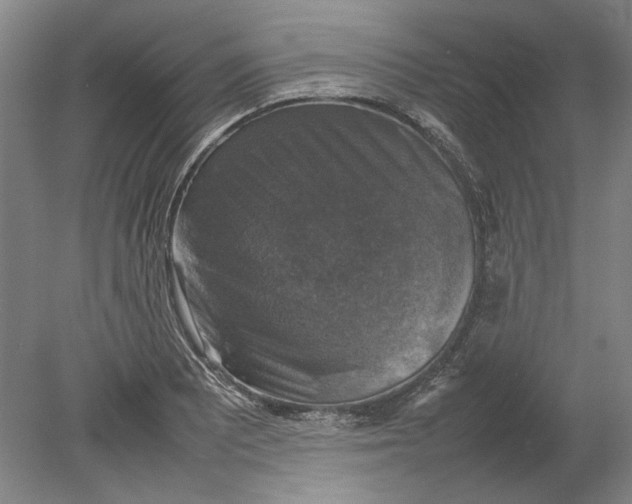 X0000080751081200701051204