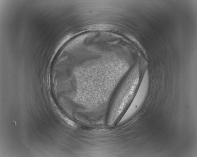 X0000080751083200701051204