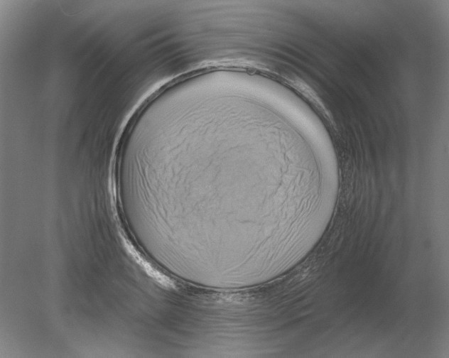 X0000080751084200701051204