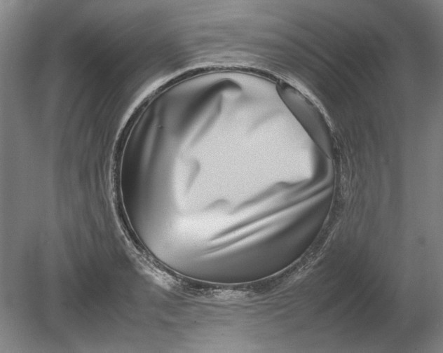 X0000080751085200701051204