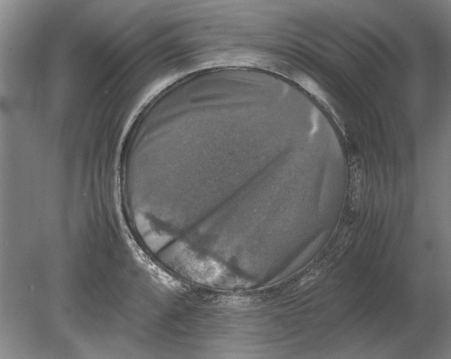 X0000080751088200701051204