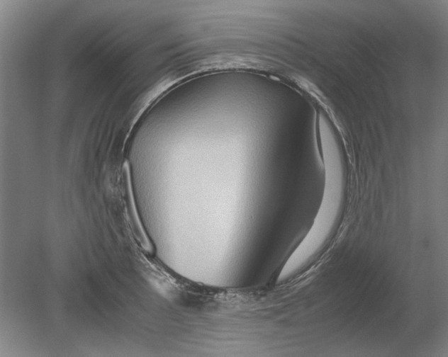 X0000080751089200701051204