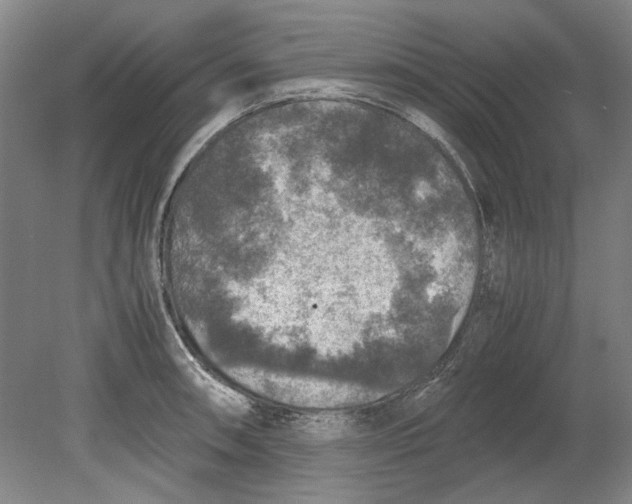X0000080751090200701051204