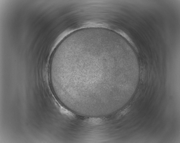 X0000080751094200701051204