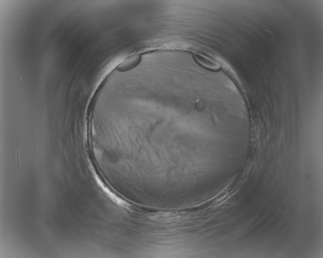 X0000080751095200701051204