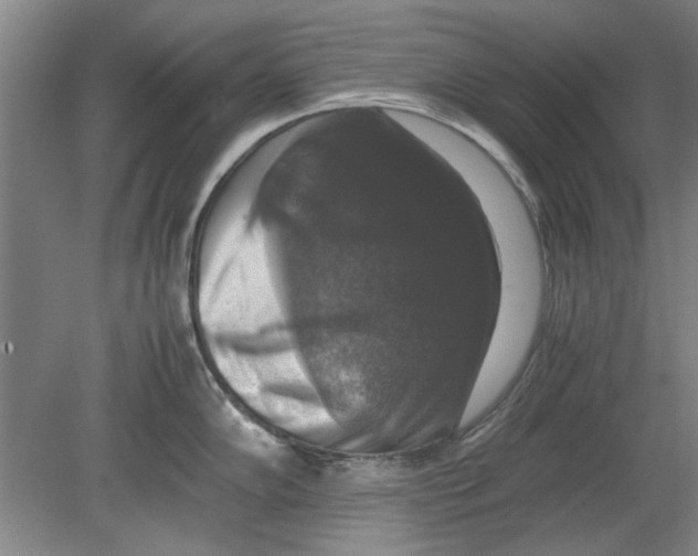 X0000080751102200701051204