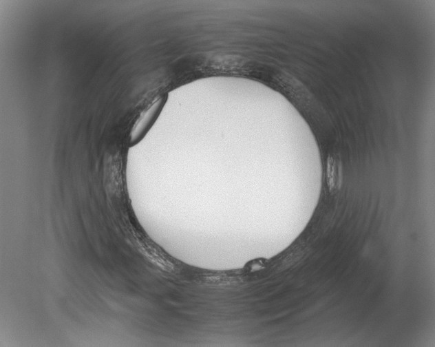X0000080751107200701051203