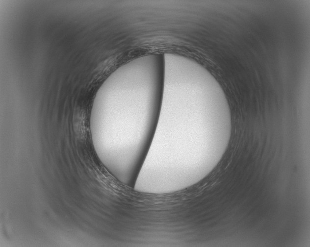 X0000080751108200701051203