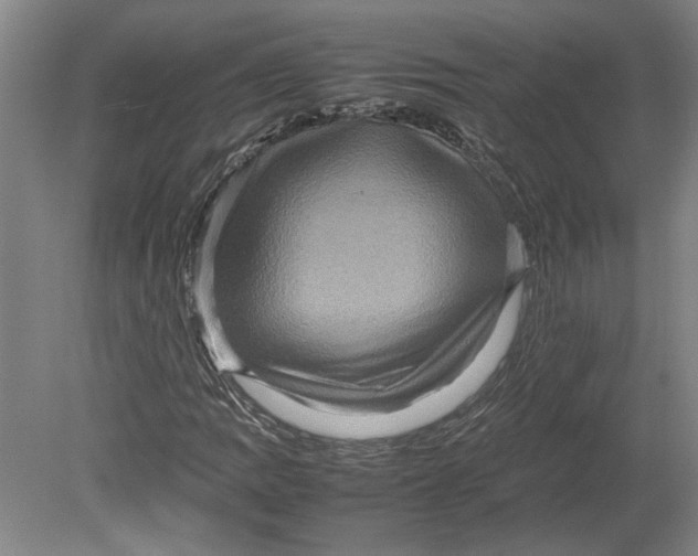 X0000080751109200701051203
