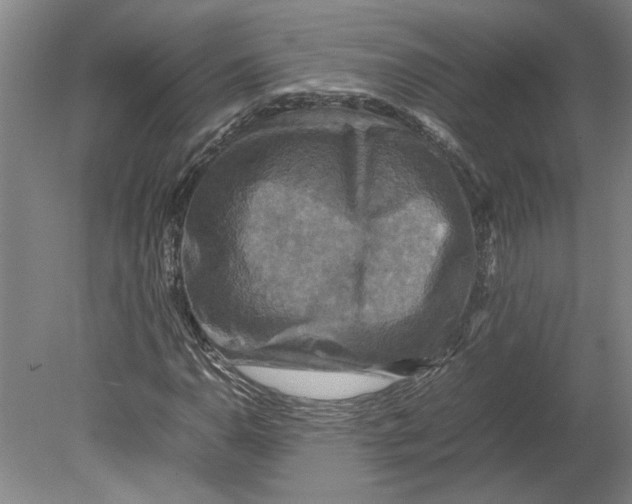 X0000080751110200701051203