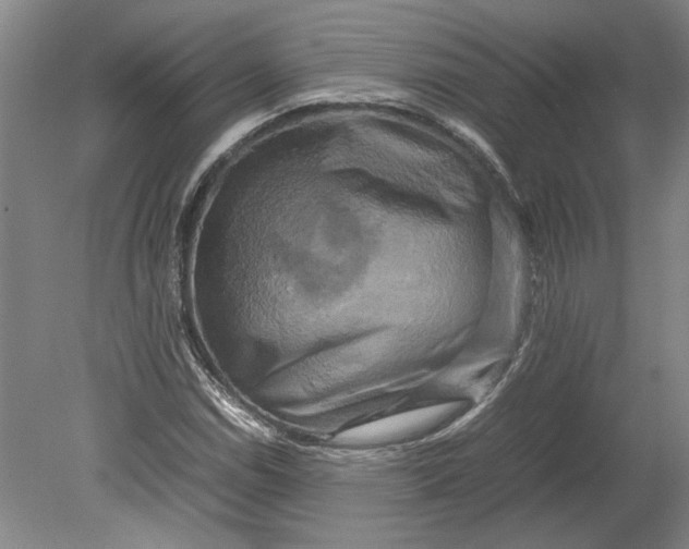 X0000080751114200701051203