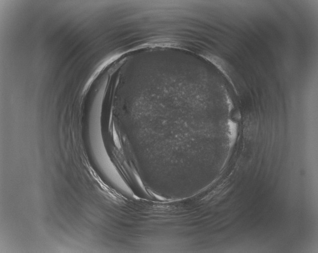 X0000080751115200701051203