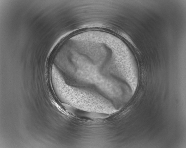 X0000080751116200701051203
