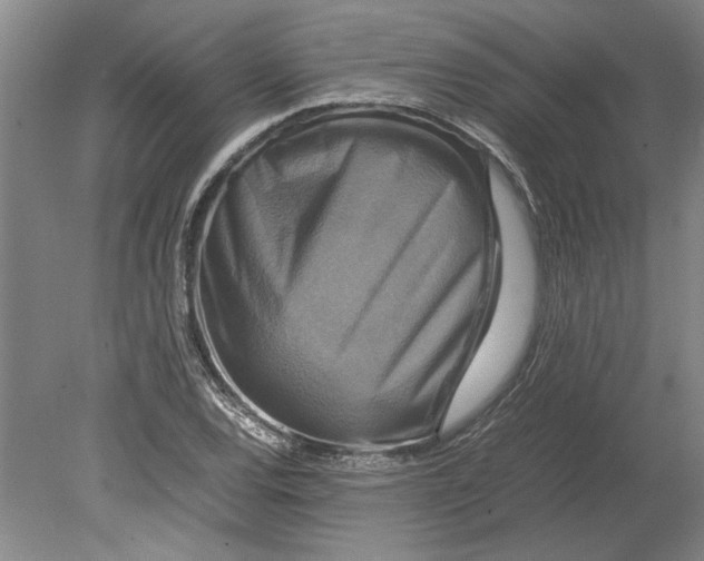 X0000080751120200701051203