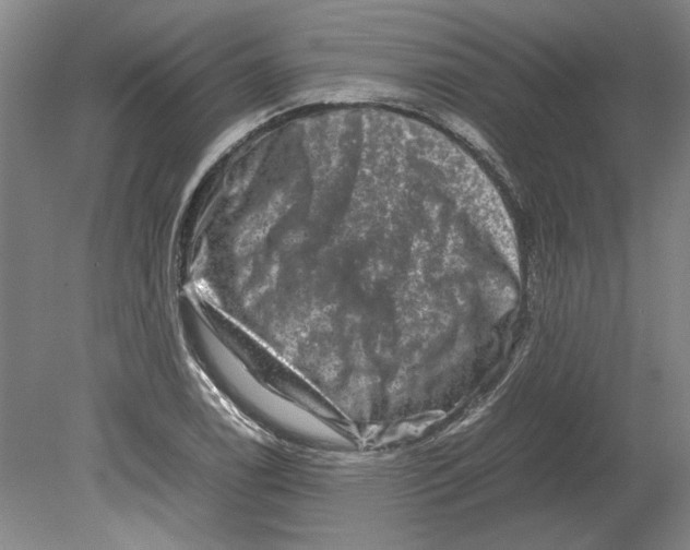 X0000080751122200701051203