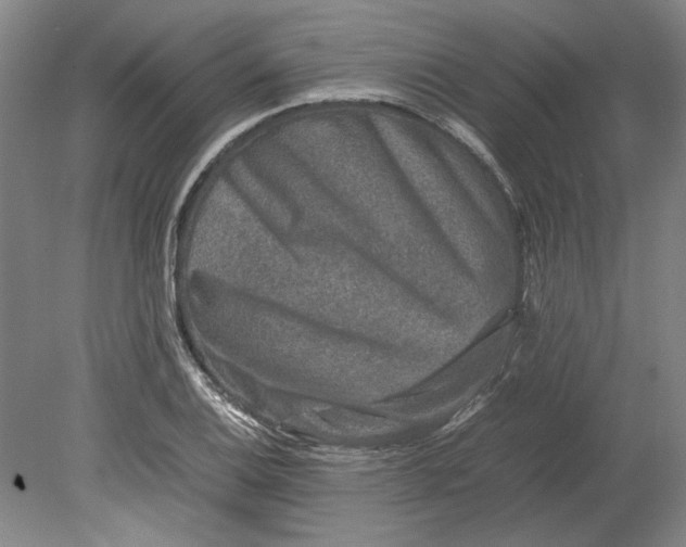 X0000080751124200701051203