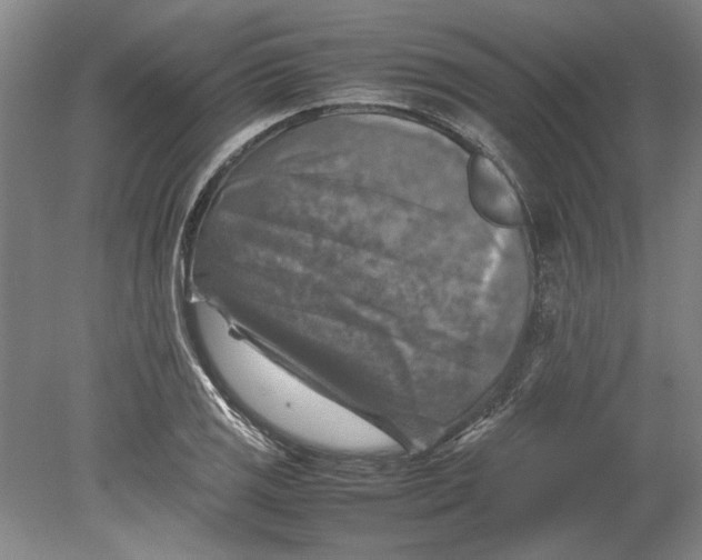 X0000080751125200701051203