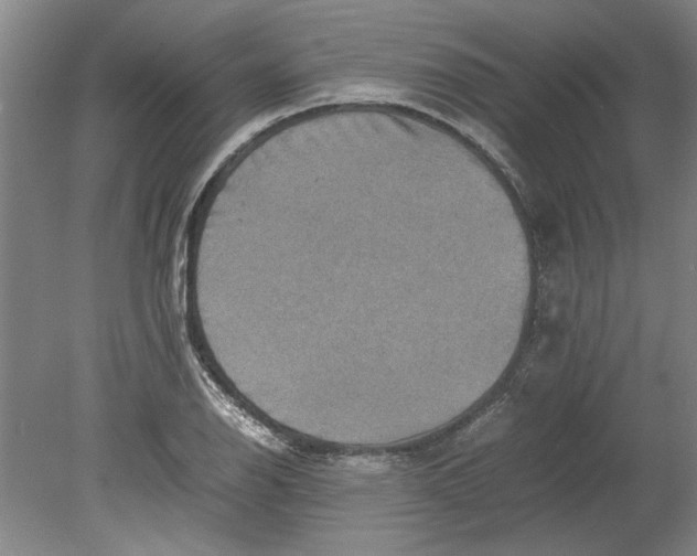 X0000080751126200701051203