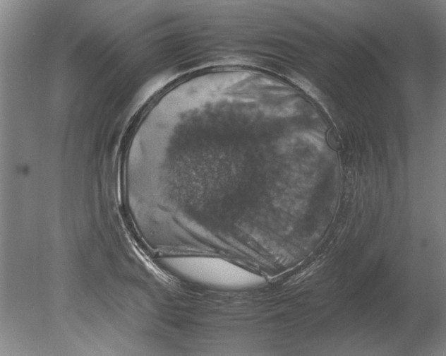 X0000080751127200701051203