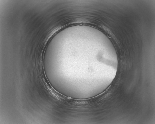 X0000080751129200701051203