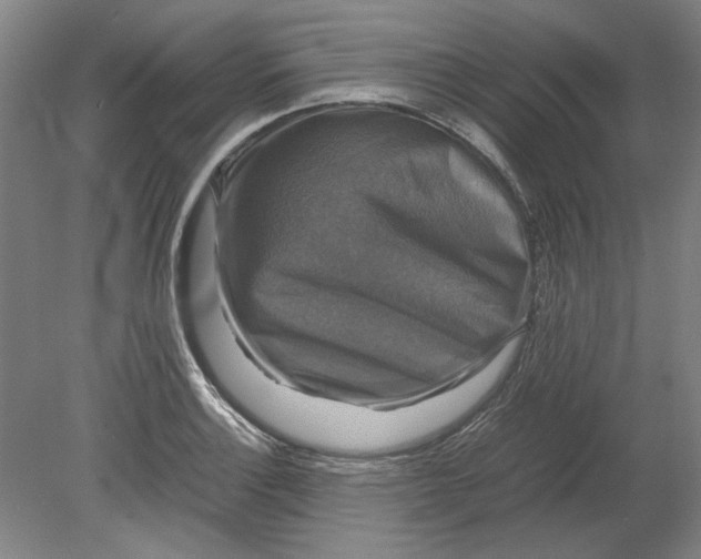 X0000080751132200701051203